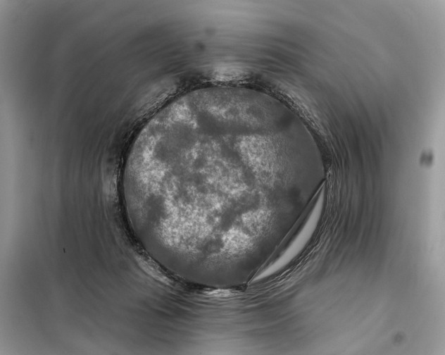 X0000098210269200805081141