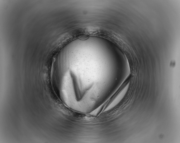 X0000098210270200805081141