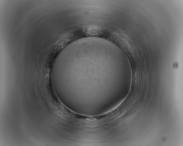 X0000098210271200805081141