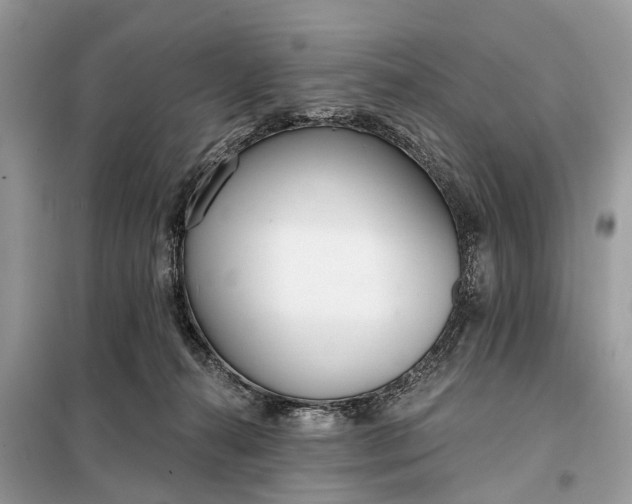 X0000098210272200805081141