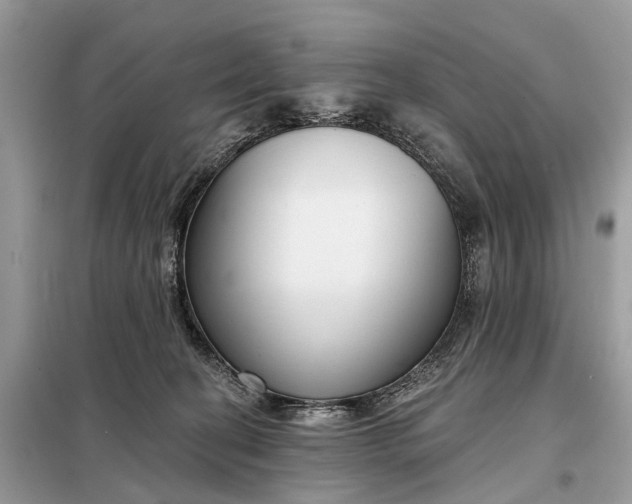 X0000098210274200805081141