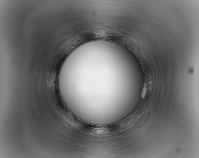 X0000098210275200805081141