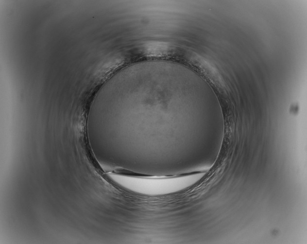 X0000098210277200805081141