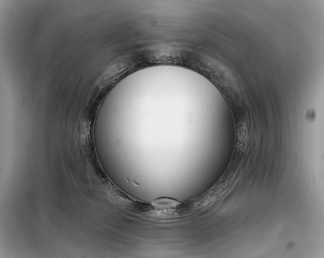 X0000098210278200805081141