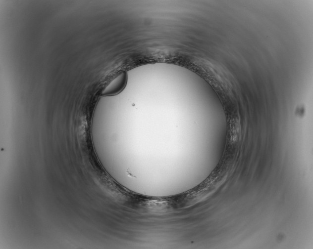 X0000098210279200805081141