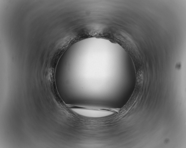 X0000098210280200805081141