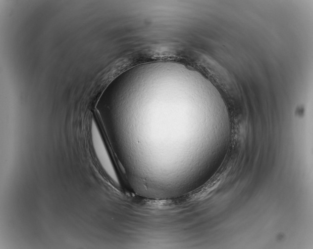 X0000098210281200805081141