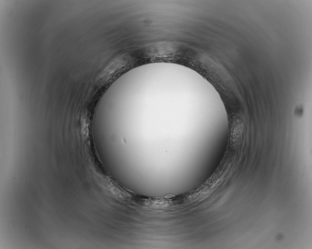 X0000098210282200805081141
