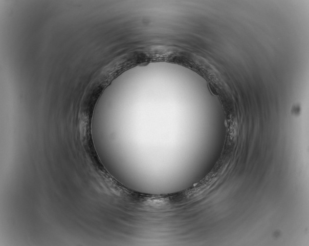 X0000098210283200805081141