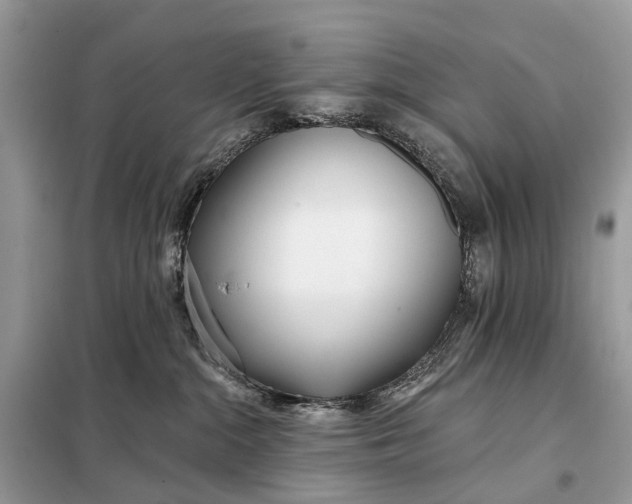 X0000098210284200805081141