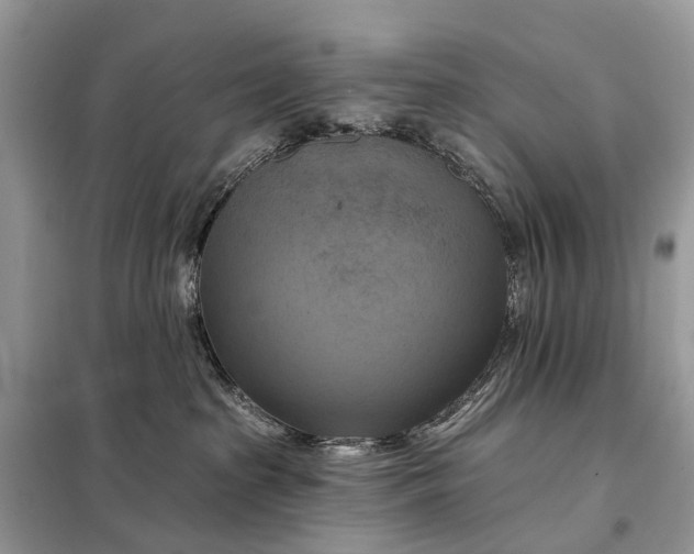 X0000098210285200805081141
