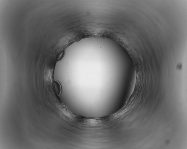 X0000098210286200805081141