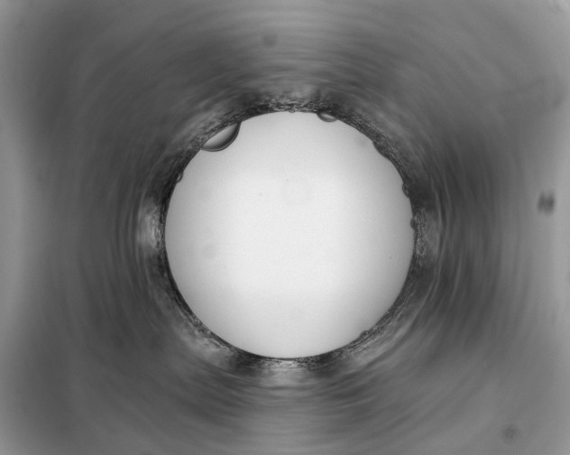 X0000098210287200805081141