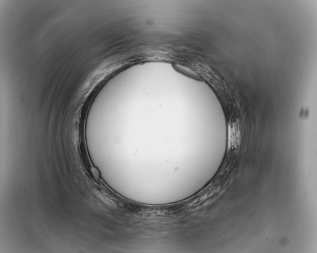X0000098210291200805081141