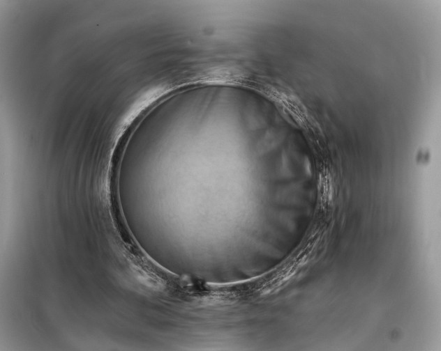 X0000098210292200805081141