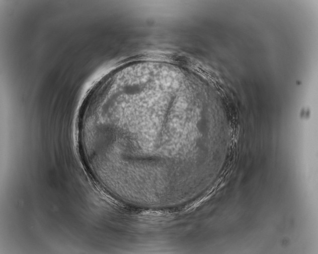 X0000098210294200805081141