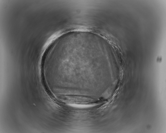 X0000098210296200805081141
