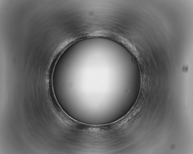 X0000098210298200805081141