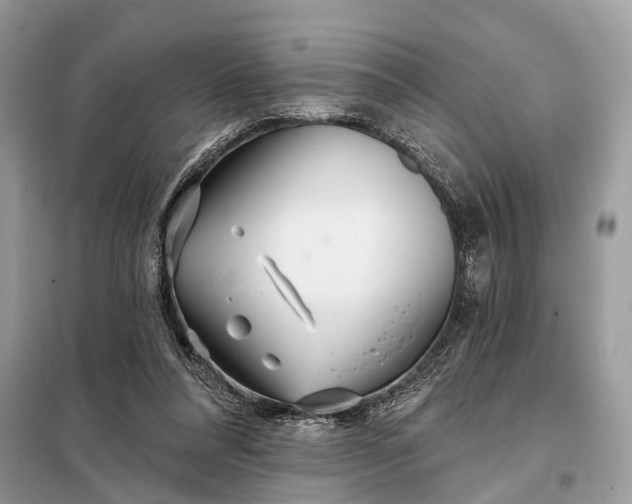X0000098210304200805081141