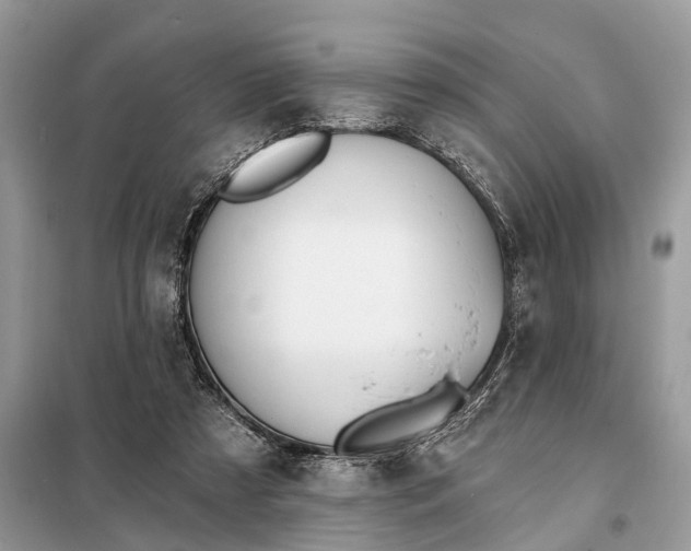 X0000098210305200805081141