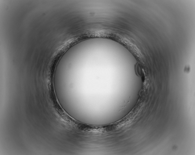 X0000098210306200805081141