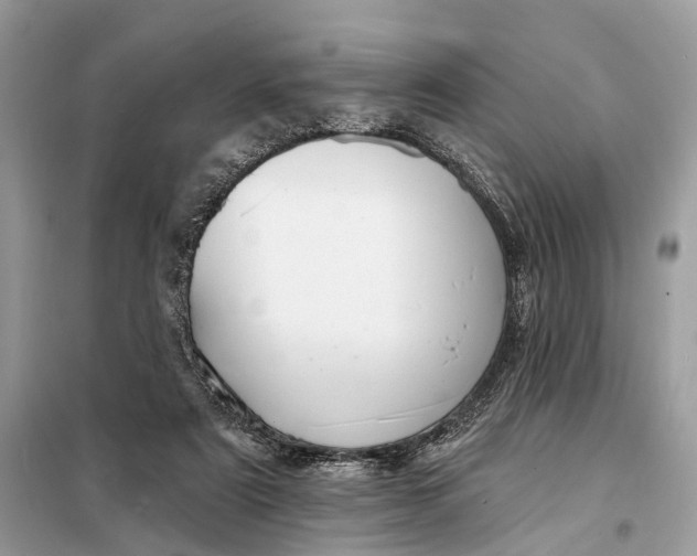 X0000098210307200805081141