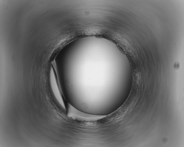 X0000098210308200805081141