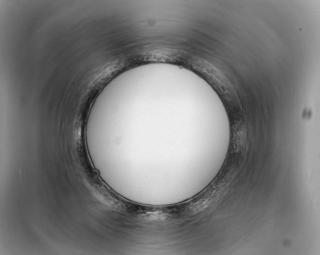 X0000098210310200805081141