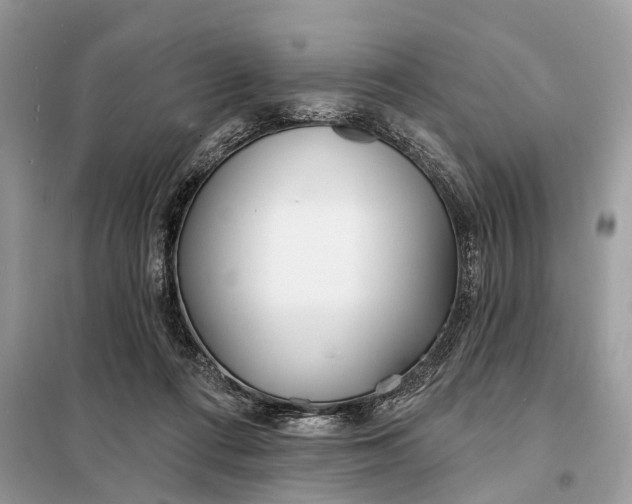 X0000098210312200805081140