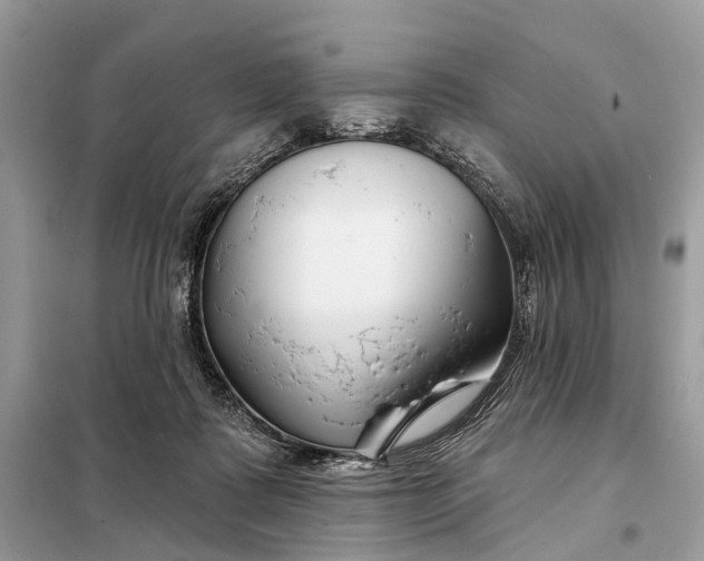 X0000098210315200805081140
