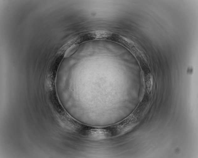 X0000098210316200805081140