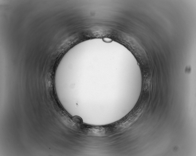 X0000098210317200805081140