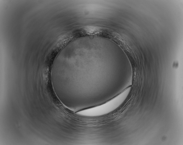 X0000098210319200805081140