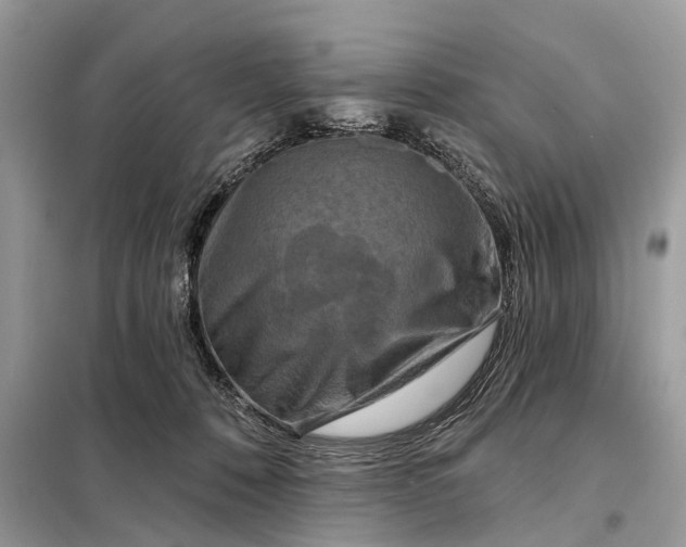 X0000098210320200805081140