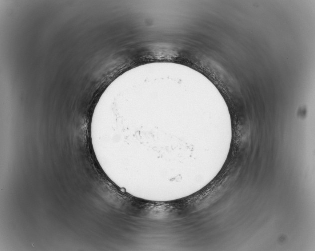 X0000098210321200805081140