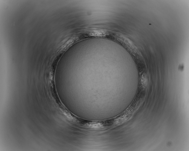 X0000098210322200805081140