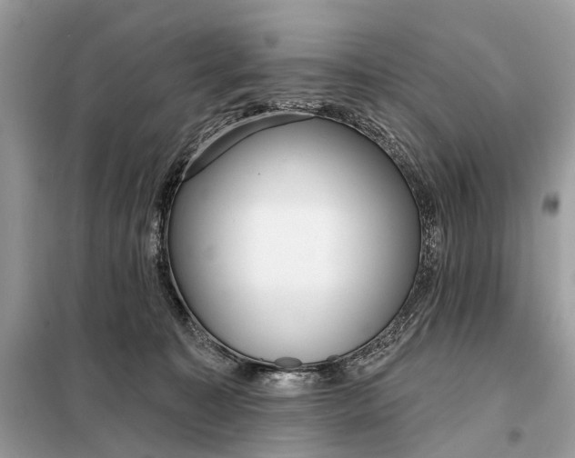 X0000098210323200805081140