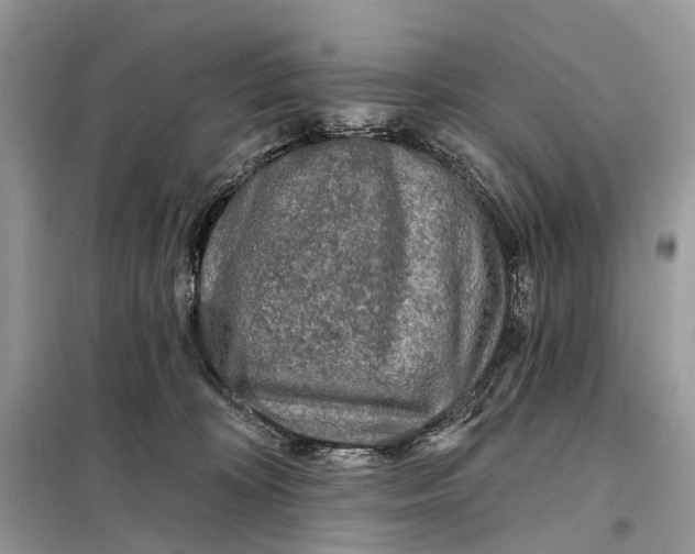 X0000098210324200805081140