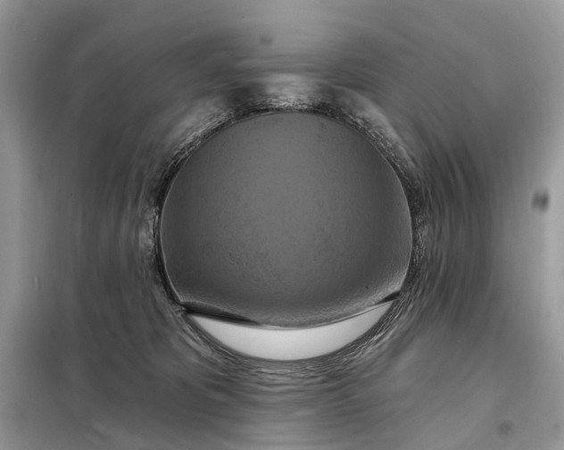 X0000098210325200805081140