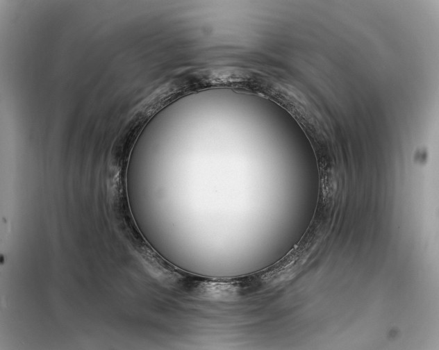 X0000098210327200805081140