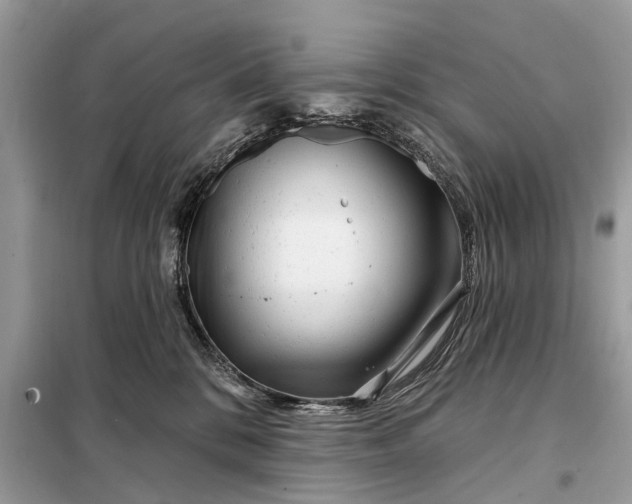 X0000098210328200805081140