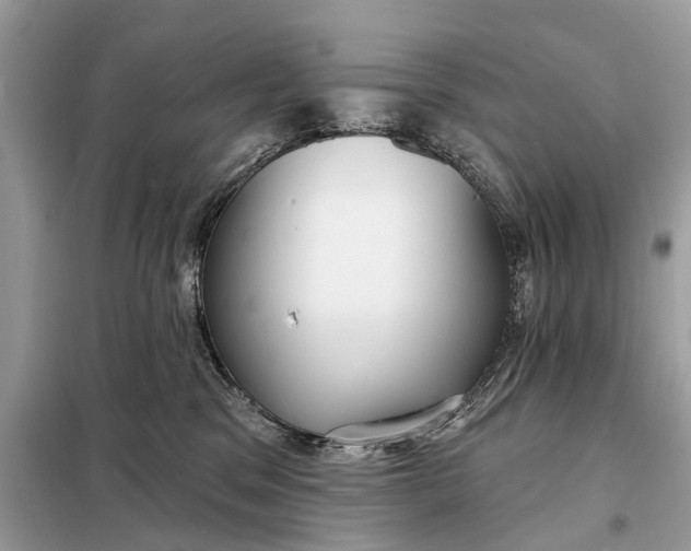 X0000098210329200805081140