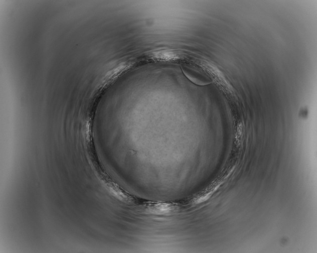 X0000098210330200805081140