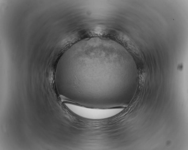 X0000098210331200805081140