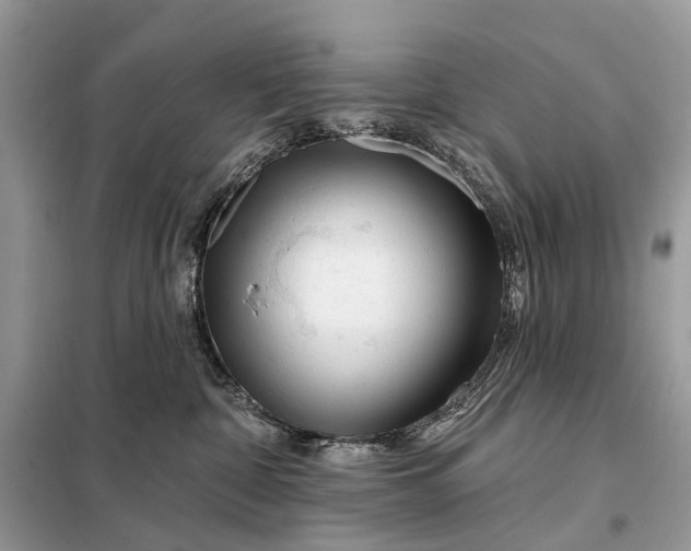 X0000098210332200805081140