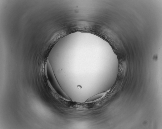 X0000098210333200805081140