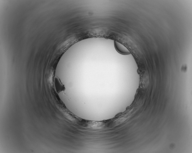 X0000098210334200805081140