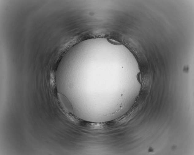 X0000098210335200805081140