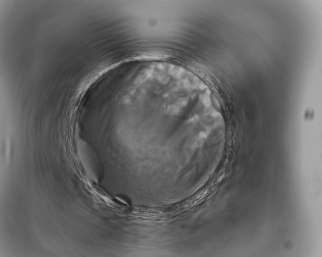 X0000098210337200805081139