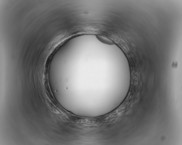 X0000098210338200805081139